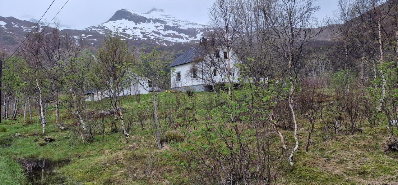 Pilan Lodge Lofoten Vestpollen Exterior photo